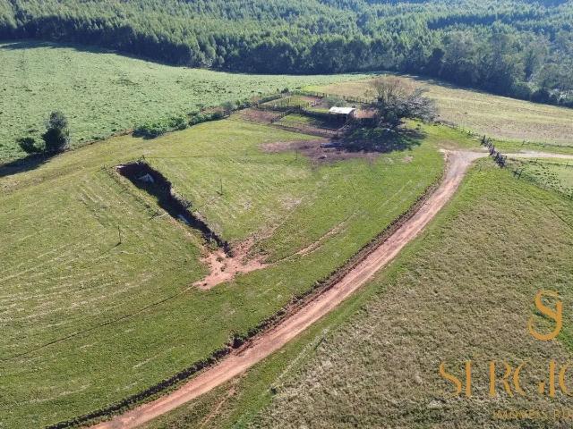 Fazenda venda em Região Geográfica Imediata de Charqueadas - Triunfo - São Jerônimo, Região Metropolitana de Porto Alegre