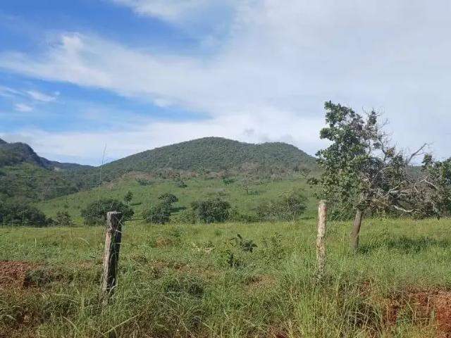 Fazenda venda em Região Geográfica Imediata de Porangatu, Trombas