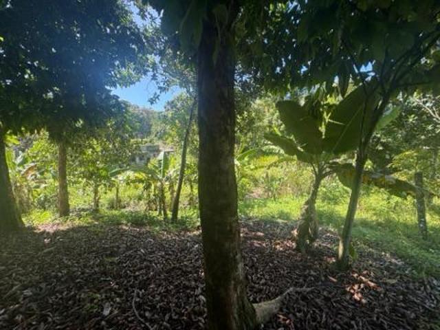 Sítio e chácara venda em Região Imediata de Santos, Região Metropolitana da Baixada Santista