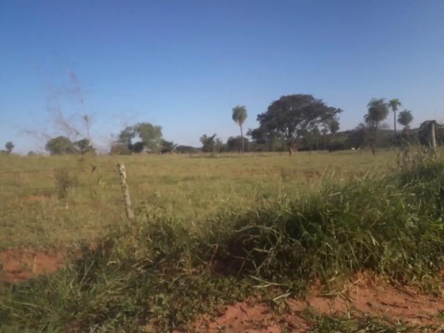 Fazenda venda em Região Imediata de Tupã, Tupã