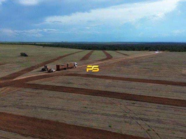 Fazenda venda em Tupiratins, Região Geográfica Intermediária de Araguaína