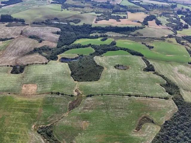 Fazenda venda em Região Geográfica Imediata de Guarapuava, Turvo