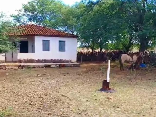 Fazenda venda em Tanque Velho, Uauá