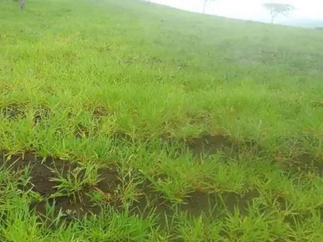 Fazenda venda em Ubaíra, Região Nordeste