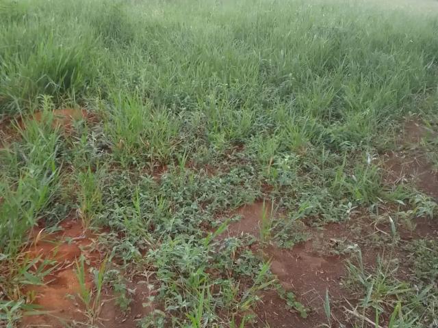 Fazenda venda em Ubaíra, Região Nordeste