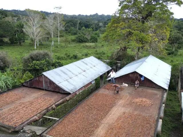 Fazenda venda em Região Geográfica Imediata de Ilhéus – Itabuna, Ubaitaba