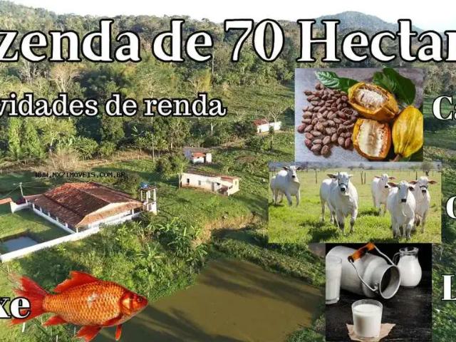 Fazenda venda em Região Geográfica Imediata de Ilhéus – Itabuna, Ubaitaba