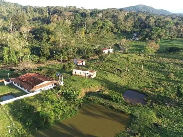 Fazenda venda em Região Geográfica Imediata de Ilhéus – Itabuna, Ubaitaba