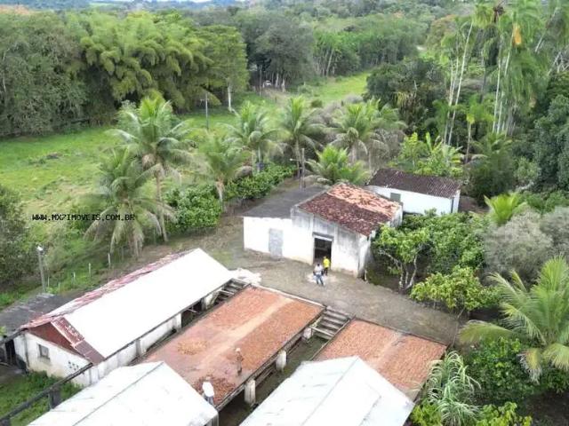 Fazenda venda em Região Geográfica Imediata de Ilhéus – Itabuna, Ubaitaba