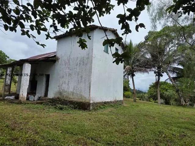Fazenda venda em Região Geográfica Imediata de Ilhéus – Itabuna, Ubaitaba