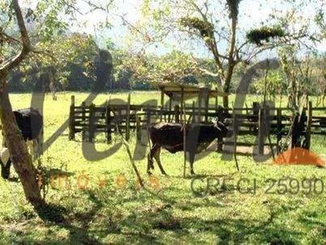 Fazenda venda em Região Imediata de Caraguatatuba-Ubatuba-São Sebastião, Região Metropolitana do Vale do Paraíba e Litoral Norte