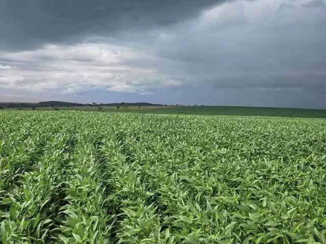 Fazenda venda em Região Geográfica Imediata de Uberaba, Uberaba