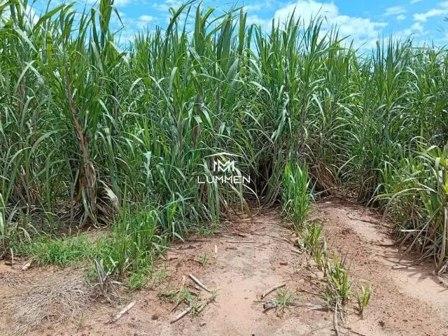 Fazenda venda em Região Geográfica Imediata de Uberaba, Uberaba