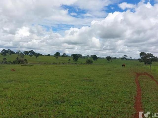 Sítio e chácara venda em Região Geográfica Imediata de Uberlândia, Oliveira Fortes