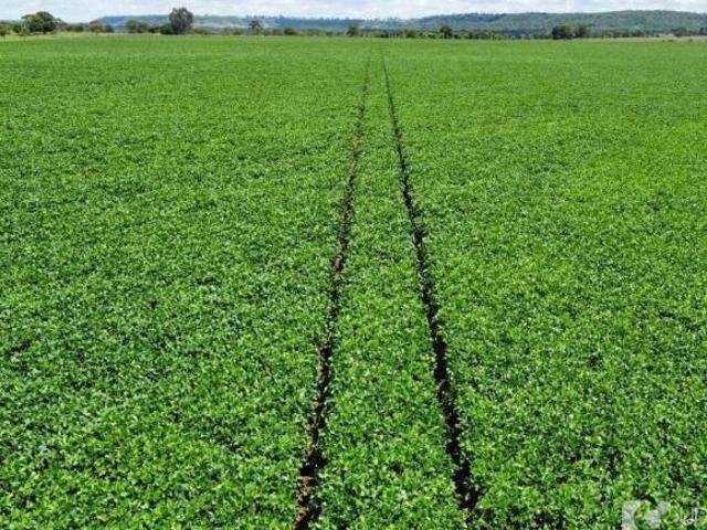 Sítio e chácara venda em Região Geográfica Imediata de Uberlândia, Oliveira Fortes