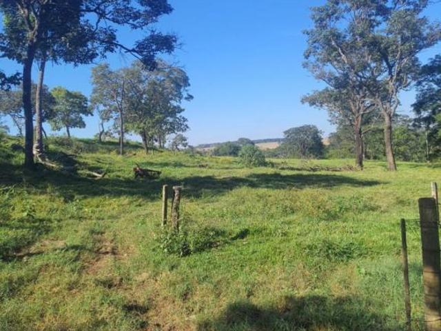 Sítio e chácara venda em Região Geográfica Imediata de Uberlândia, Oliveira Fortes