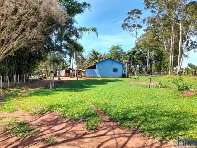 Fazenda venda em Região Imediata de Jales, Dirce Reis