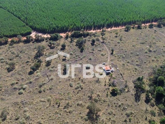 Fazenda venda em Uberlândia, Região Geográfica Intermediária de Uberlândia