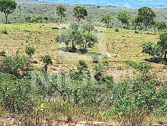 Fazenda venda em Região Geográfica Imediata de Uberlândia, Oliveira Fortes