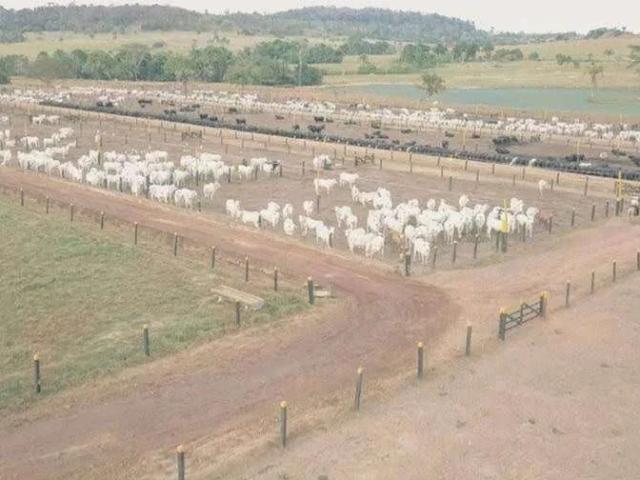 Fazenda venda em Região Geográfica Imediata de Uberlândia, Oliveira Fortes