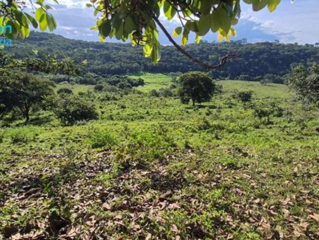 Fazenda venda em Uberlândia, Região Geográfica Intermediária de Uberlândia