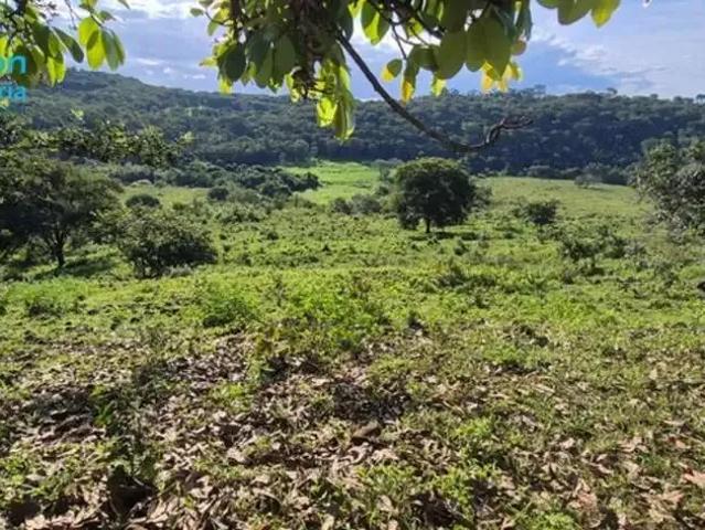 Fazenda venda em Região Geográfica Imediata de Uberlândia, Oliveira Fortes