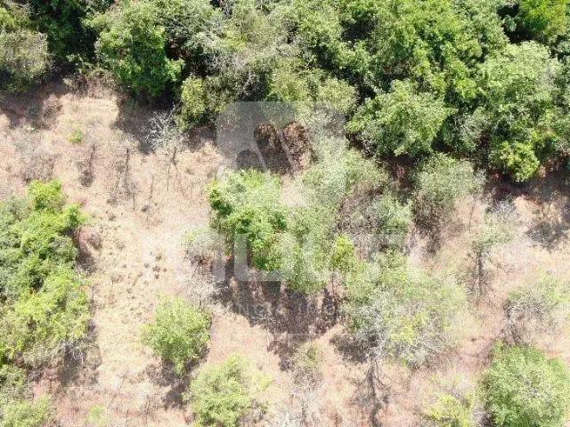 Fazenda venda em Região Geográfica Imediata de Uberlândia, Oliveira Fortes