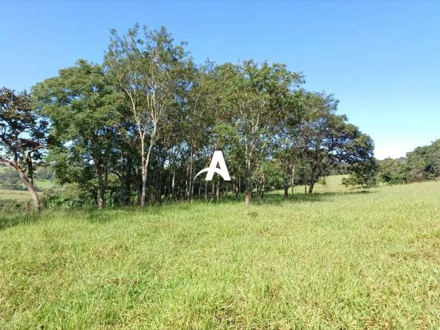 Fazenda venda em Setor Central, Uberlândia