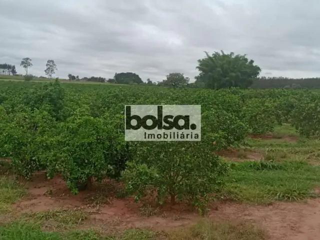 Fazenda venda em Região Imediata de Bauru, Ubirajara