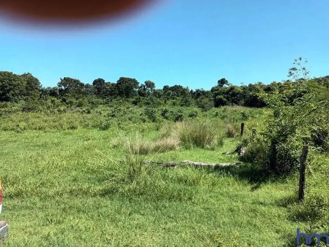Fazenda venda em Região Geográfica Imediata de Ceres - Rialma - Goianésia, Uirapuru