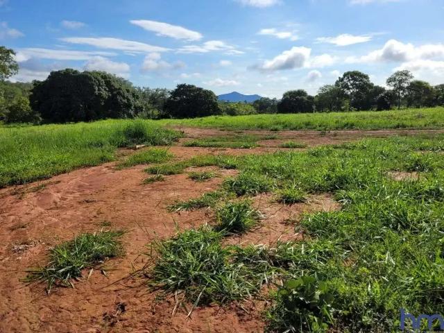 Fazenda venda em Região Geográfica Imediata de Ceres - Rialma - Goianésia, Uirapuru