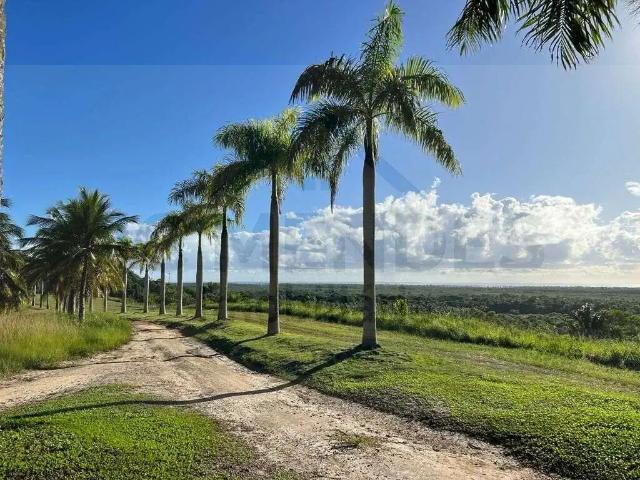 Fazenda venda em Região Geográfica Imediata de Camacan, Una