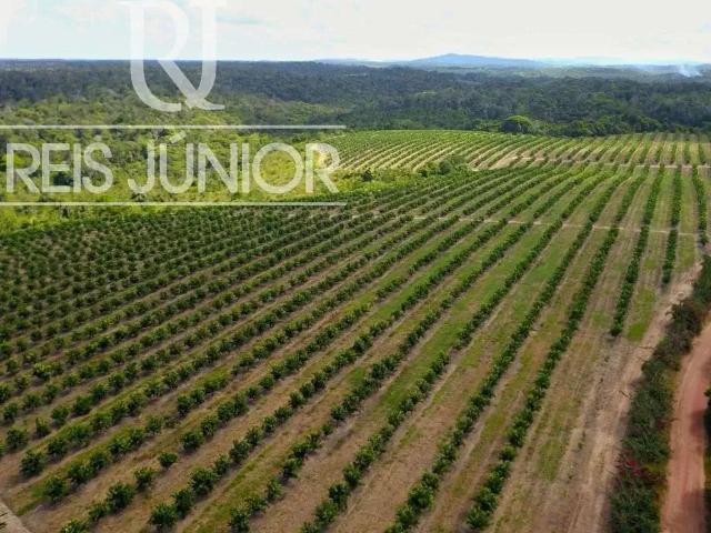 Fazenda venda em Região Geográfica Imediata de Camacan, Una