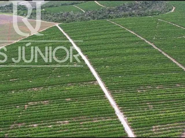 Fazenda venda em Região Geográfica Imediata de Camacan, Una
