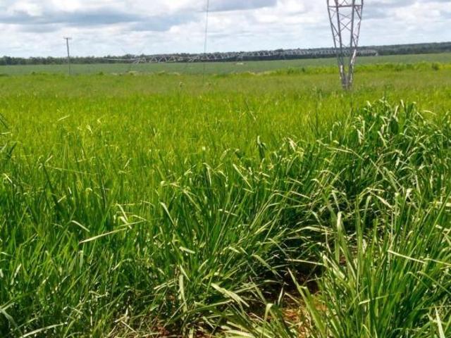 Sítio e chácara venda em Região Geográfica Imediata de Unaí, Região Integrada de Desenvolvimento do Distrito Federal e Entorno