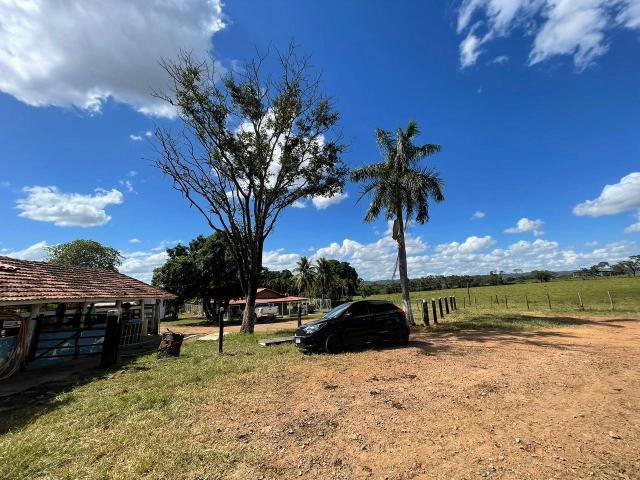 Fazenda venda em Unaí, Região Geográfica Intermediária de Patos de Minas