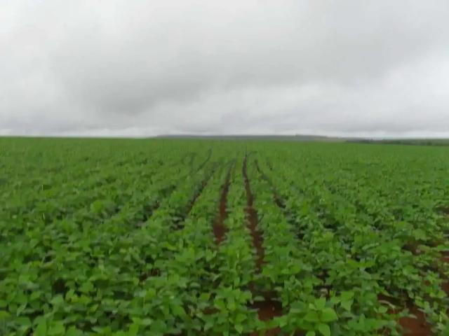 Fazenda venda em Região Geográfica Imediata de Unaí, Região Integrada de Desenvolvimento do Distrito Federal e Entorno