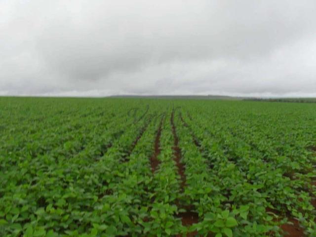Fazenda venda em Unaí