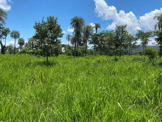Fazenda venda em Região Geográfica Imediata de Eunápolis - Porto Seguro, Porto Seguro