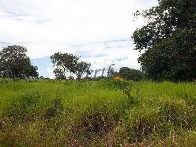 Fazenda venda em Região Geográfica Imediata de Unaí, Região Integrada de Desenvolvimento do Distrito Federal e Entorno