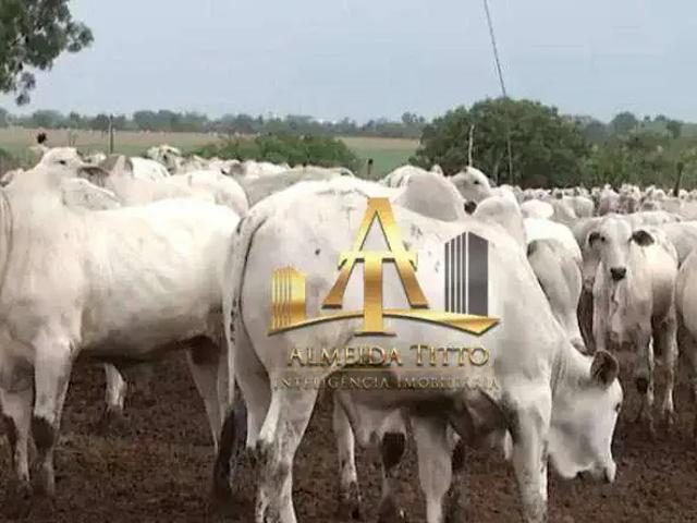 Fazenda venda em Região Geográfica Imediata de Unaí, Região Integrada de Desenvolvimento do Distrito Federal e Entorno
