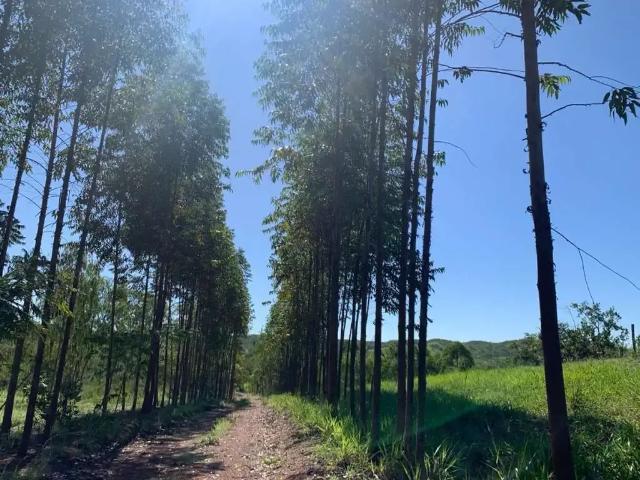 Fazenda venda em Região Geográfica Imediata de Unaí, Região Integrada de Desenvolvimento do Distrito Federal e Entorno