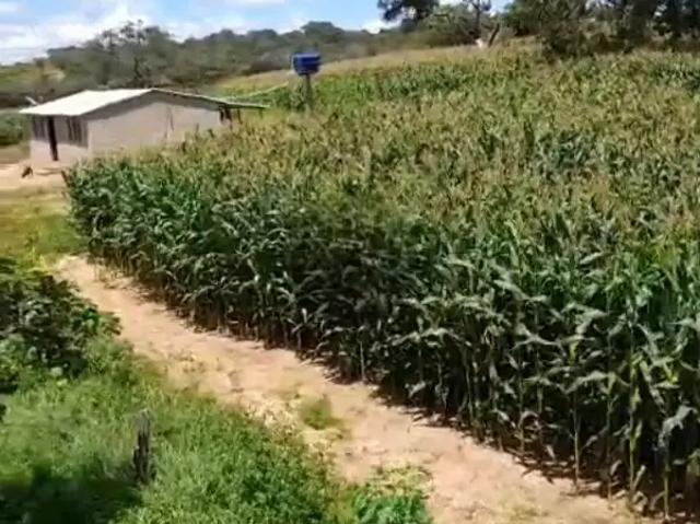 Fazenda venda em Região Geográfica Imediata de Unaí, Região Integrada de Desenvolvimento do Distrito Federal e Entorno