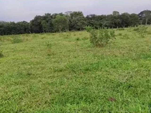 Fazenda venda em Unaí, Região Geográfica Intermediária de Patos de Minas