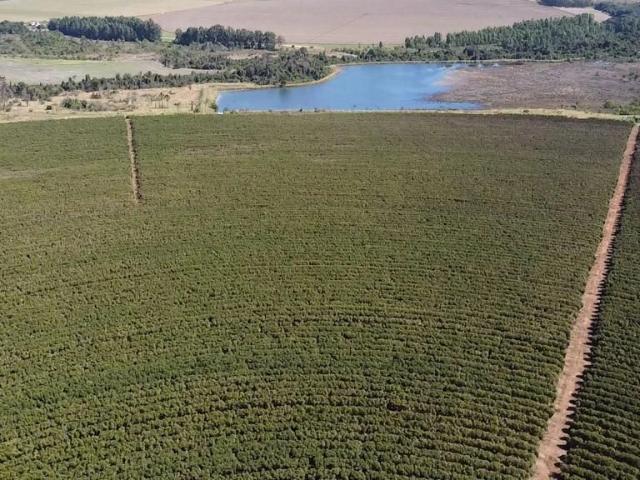 Fazenda venda em Unaí, Região Geográfica Intermediária de Patos de Minas