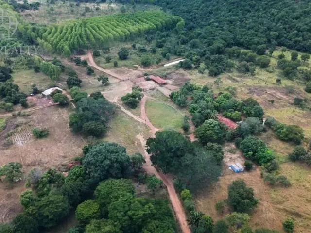 Fazenda venda em Região Geográfica Imediata de Unaí, Região Integrada de Desenvolvimento do Distrito Federal e Entorno