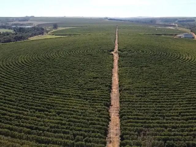 Fazenda venda em Região Geográfica Imediata de Unaí, Região Integrada de Desenvolvimento do Distrito Federal e Entorno