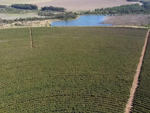 Fazenda venda em Região Geográfica Imediata de Unaí, Região Integrada de Desenvolvimento do Distrito Federal e Entorno