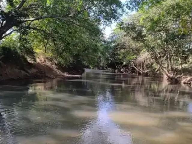 Fazenda venda em Região Geográfica Imediata de Unaí, Região Integrada de Desenvolvimento do Distrito Federal e Entorno