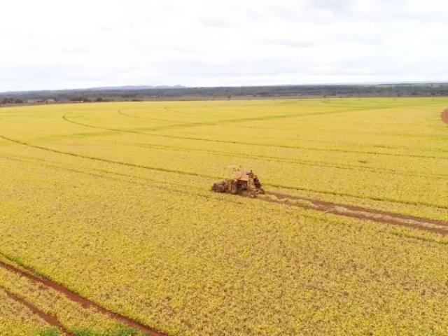 Fazenda venda em Região Geográfica Imediata de Unaí, Região Integrada de Desenvolvimento do Distrito Federal e Entorno